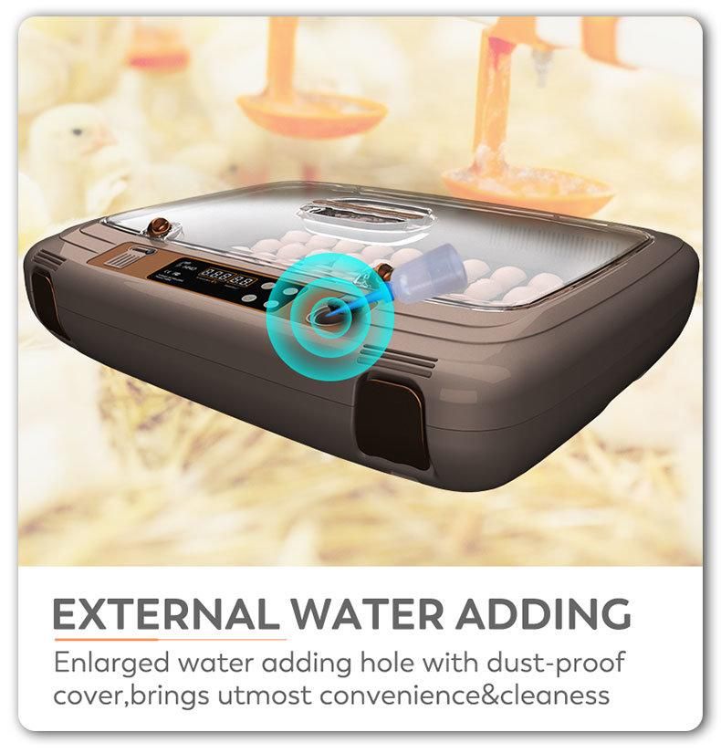 Best Selling New Model High End Auto 50 Eggs Incubator for Ebay Retail