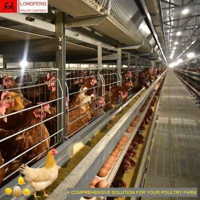 China Automatic Farming Equipment Longfeng Poultry Feeding Chicken Cage System with Good Service