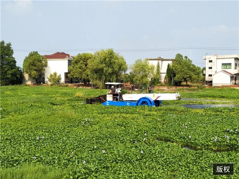 Customise River Clean Machinery Aquatic Weed Removal Machine