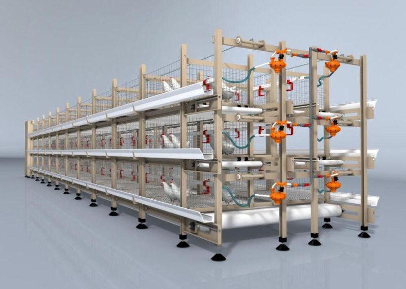 Automatic Poultry Chicken Bird Cages for Layer Broiler