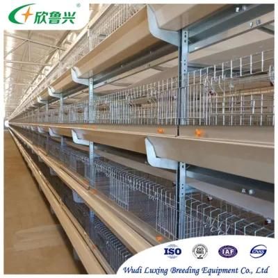 SGS Certificate 4 Tier Baby Chicken Cage H Type for Day Old Layer Pullet Cage
