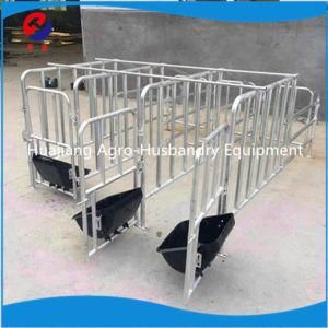 2019 Popular Gestation Crate Pig Farm Use Hot Galvanized Sow Crates Pig Cage