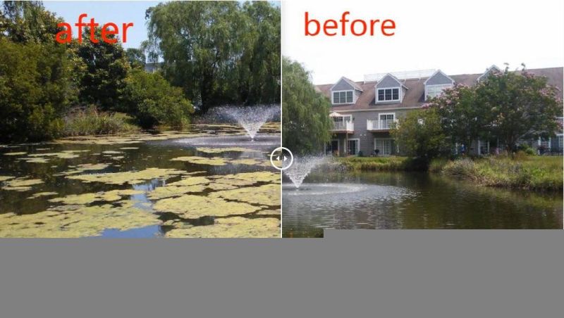 Floating Water Plants Removal/ Aquatic Weed Harvester/Floating Debris Harvesting Cleaning