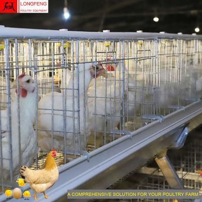a Type Poultry Farming Equipment Chicken Layer Battery Egg Laying Cage