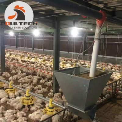 Farming Raising Equipment for Broiler House