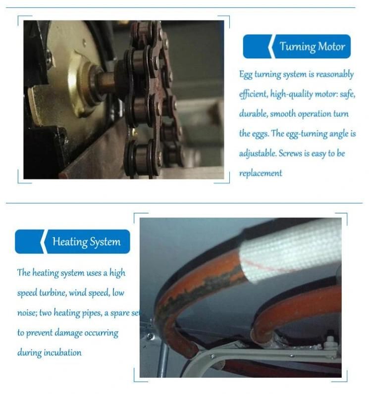 Multifunctional Automatic High Productivity Egg Hatching Machine with CE Certification