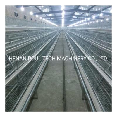 Hot Selling Africa Chicken Cage for Sale Automatic Chicken Layer Cage