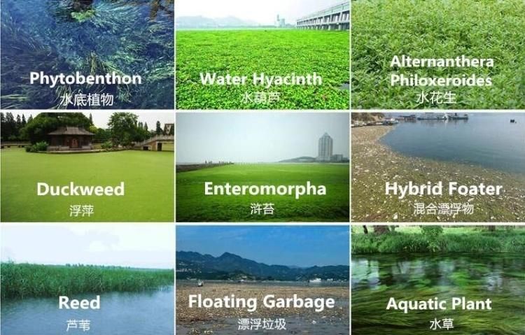 Full Automatic Aquatic Plant Harvester Mowing Boat