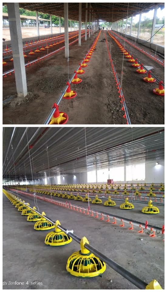 China Steel Poultry Farm Structures Design Layout Project Chicken House in The Philippines