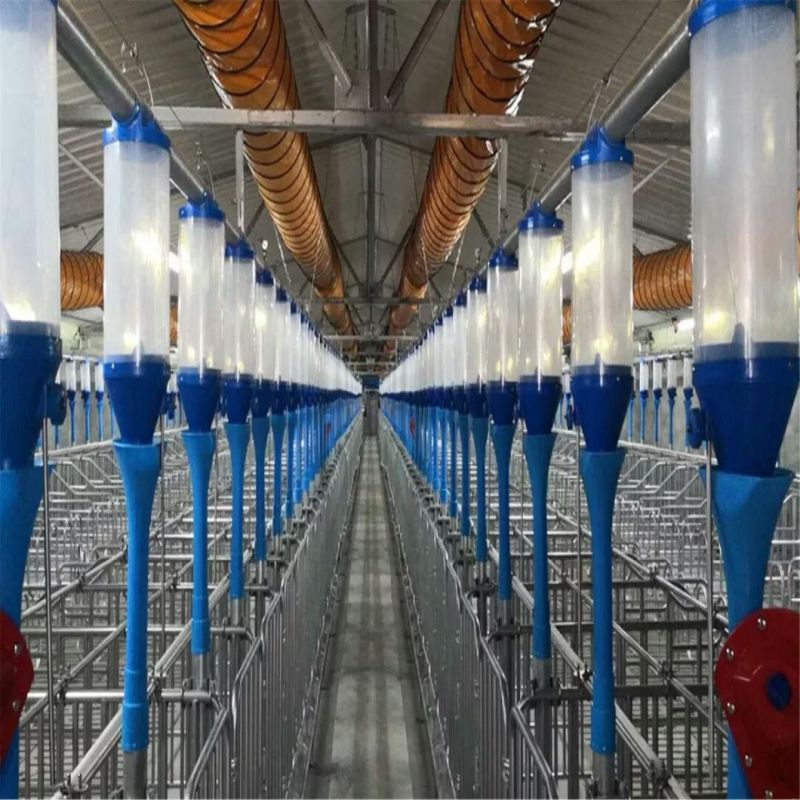 Low Cost Prefab Steel Structure Pig House