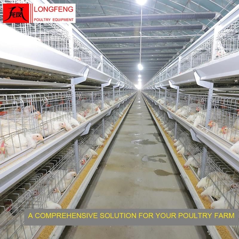 Manure Belt Removing Mature Design Poultry Drinkers Broiler Chicken Cage