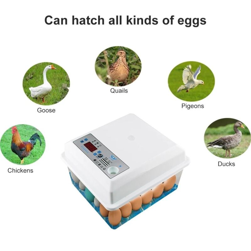 Home Use Multi-Functional Fully Automatic Chicken Egg Incubator for Sale