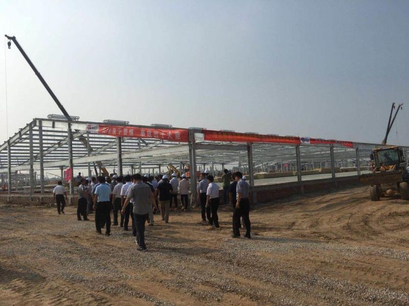 Professional Steel Structure Chicken Farm with Ce Certification