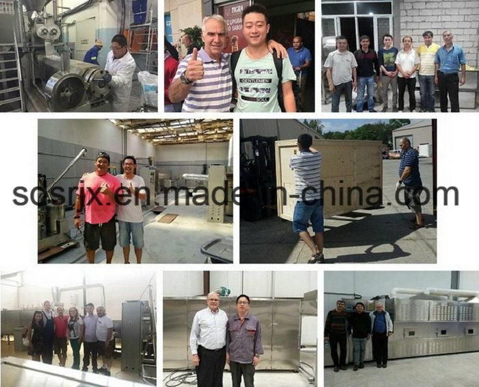 Twin-Screw Corn Wheat Soy Fishmeal Raw Materials Animal Fish Feed Extrudeuse Pour Aliment Poisson Manufacturing Making Machine