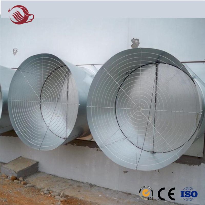 Wholesale Customized Automatic Poultry Chicken House Feeder Line and Waterer Line