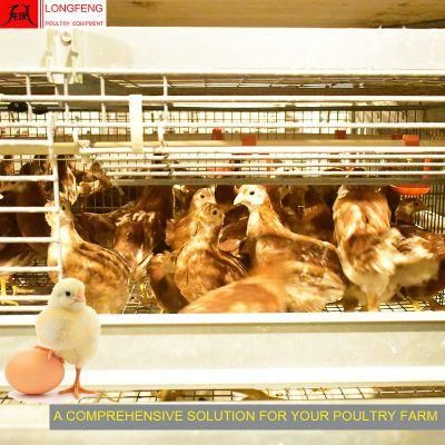 275g Hot Galvanized Wire Mesh and Sheet Feeder Pullet Layer Chicken Cage