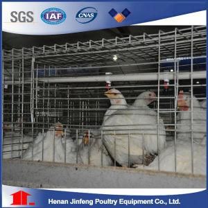 Chicken Broiler Battery Cage Poultry Farming for Wholesale