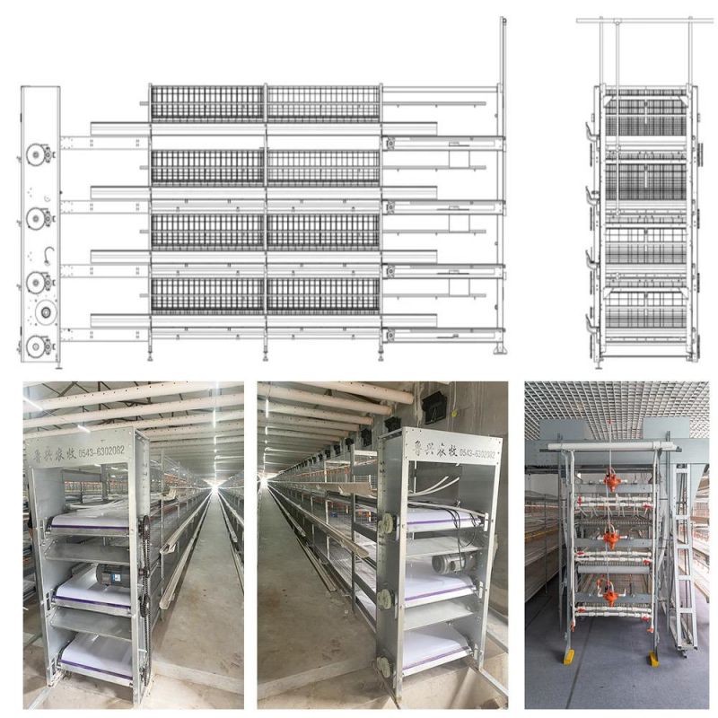 Automatic Poultry Farming Equipment Modernized Cage Layer Chicken Cage