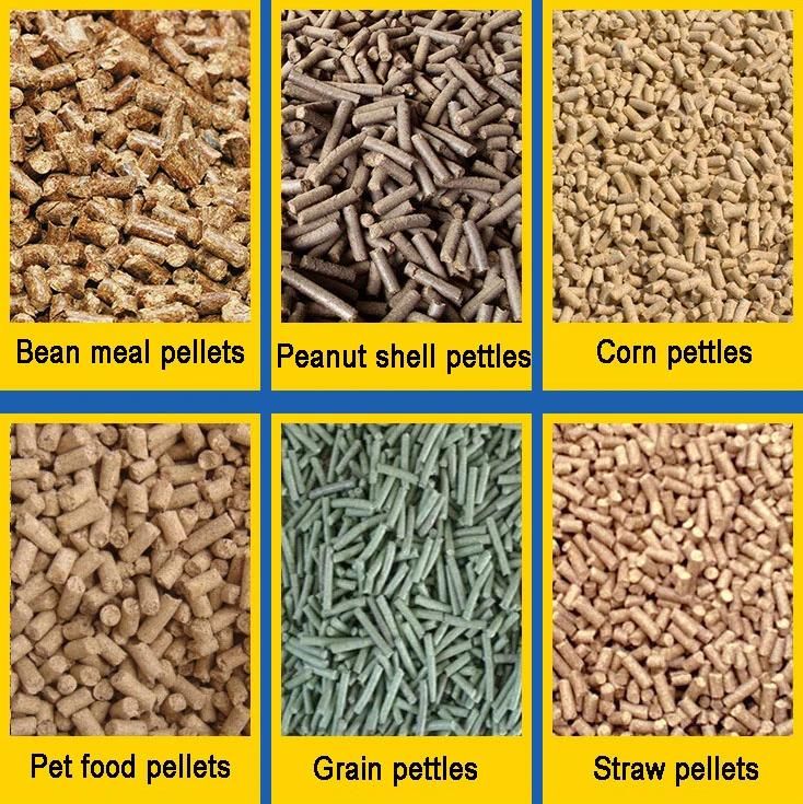 Feed Processing Special Poultry Farm Cattle Mini Feed Pellet Machine