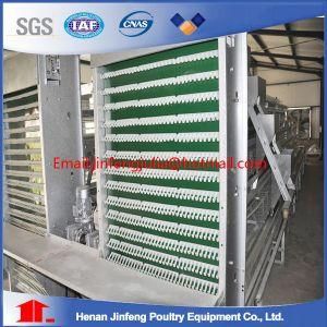 Chicken Cage Made in China for Poultry House