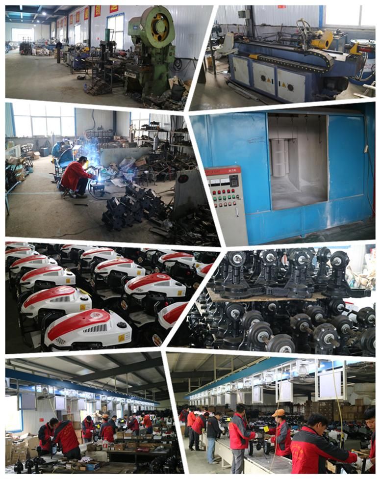 Mini Rotary Tiller Gasoline Power Tiller for Sale