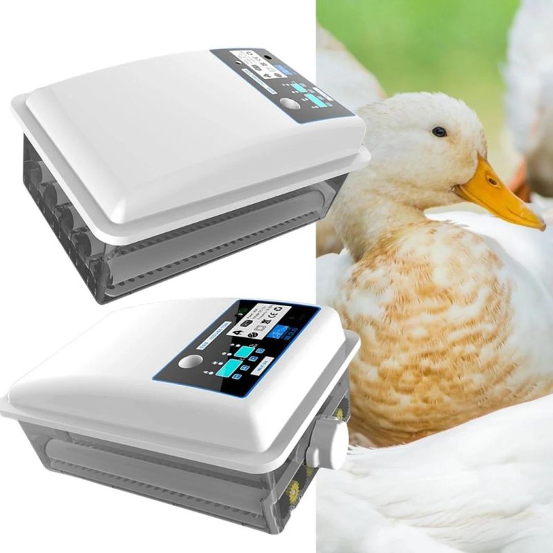 36 Pieces Factory Price Intelligent Automatic Chicken Eggs Incubator for Egg Hatching