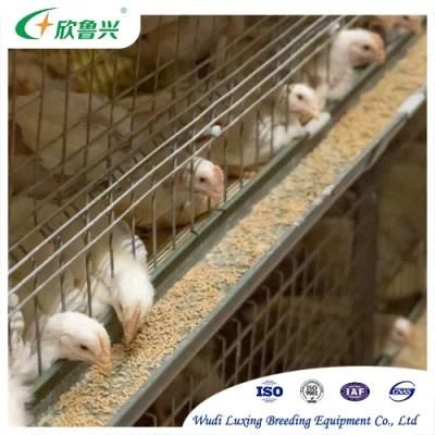 Automatic H Frame Chicken Broiler Cage for Uganda Poultry Farm Battery Farming
