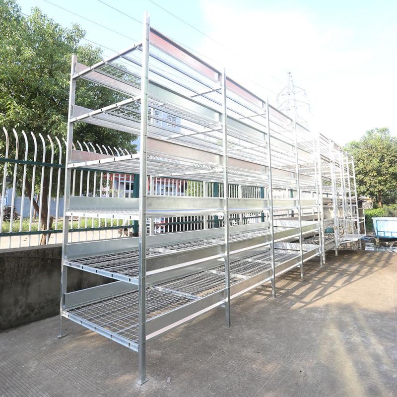 Champignon Mushroom Growing Aluminum Shelving