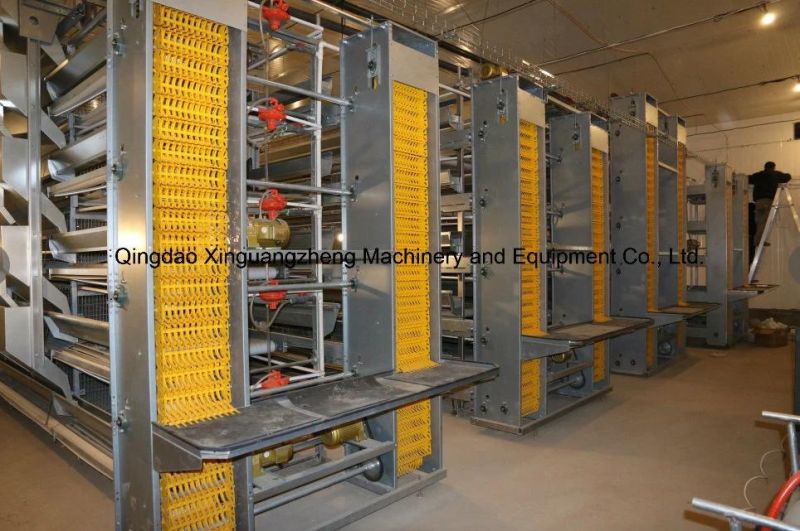 Xinguangzheng Chicken Equipment