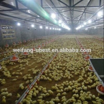 Large Scale Automatic Broiler and Breeder Farm Design for Chicken