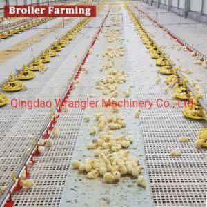 Hot Sale Poultry Farm Equipment Instrument Plastic Pure White Chicken Slatted Slats Floor for Poultry Farm