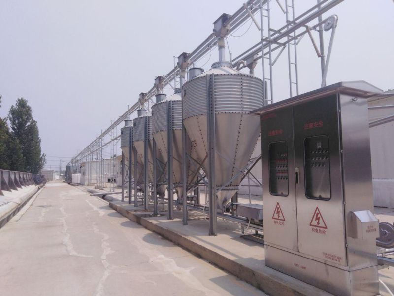 Agricultural Livestock Poultry Farm Equipment Automatic Feeding System