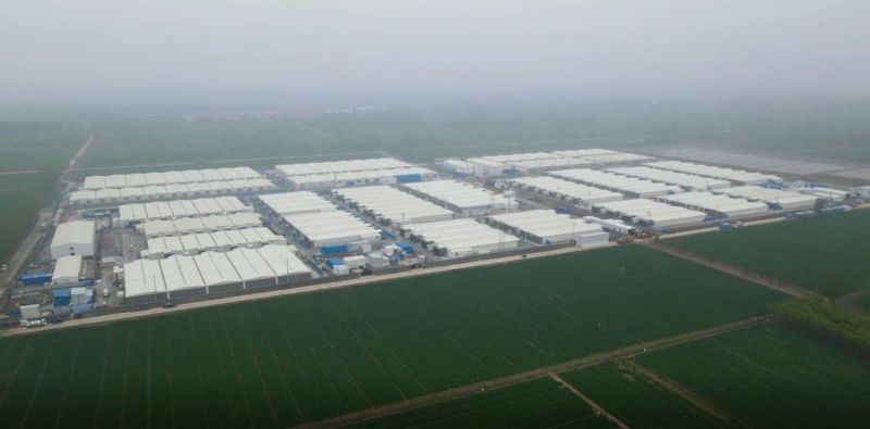 Livestock Pig Farm Steel Silo for Sale