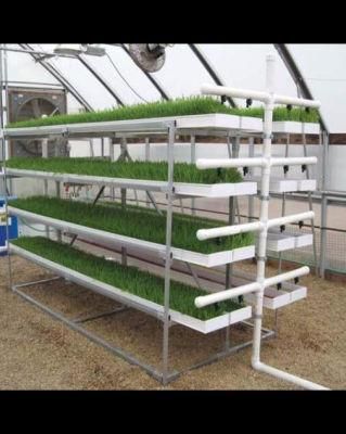 High Quality Indoor Hydroponics Vertical Sprouting Machine Grass Fodder Tray