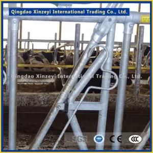 Galvanized Headlock Cattle Panel with High Strength