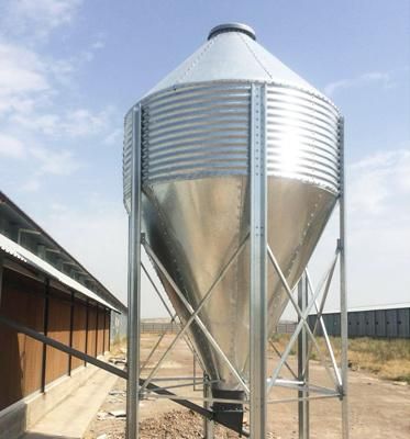 Chicken Equipment Automatic Main Feeding System