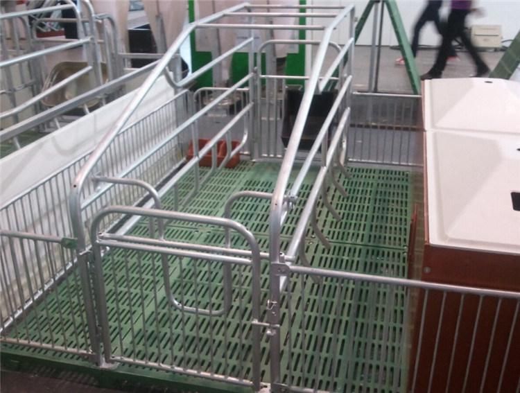 Animal Cages Galvanized Pig Sow Farrowing Crates for Swine