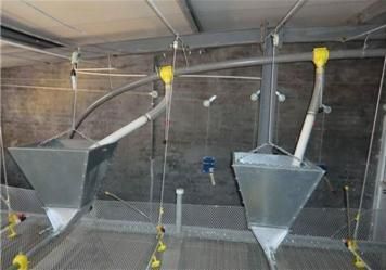 Chicken Feeder Automatic Broiler and Breeder Pan Feeding System