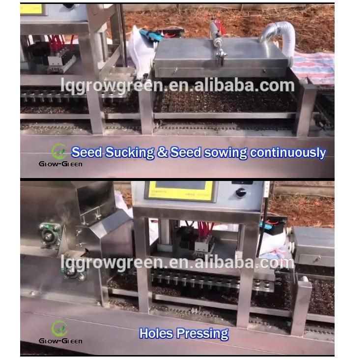 Automatic Vegetable Seeder Seed Sowing Machine Line for Seedling Tray