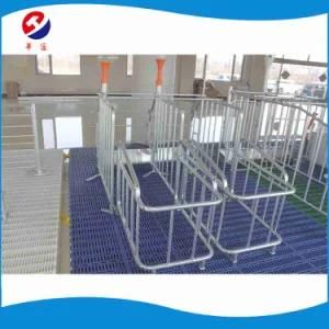 High Quality Free Access Gestation Pen Animal Cage Wholesale for Sale
