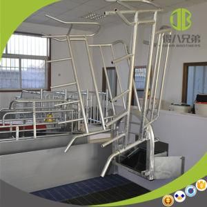 High Strengh Galvanized Swine Reversible Farrowing Crates for Farm Equipment