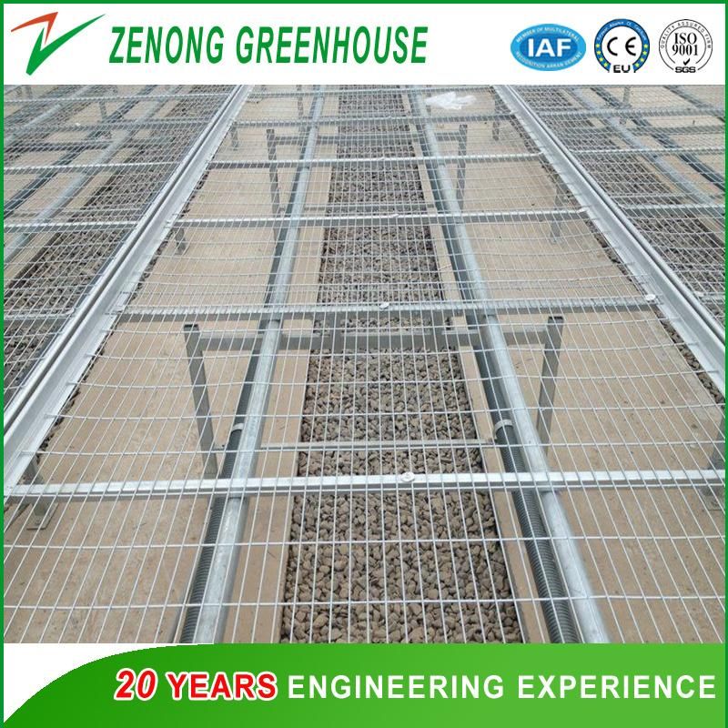 Alluminum Alloy Frame/Rolling Seeding Bed/Growing Bench Used in Greenhouse