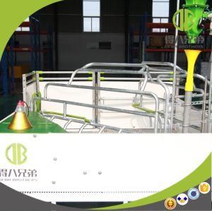 2017 New Design Open Style Farrowing Crate