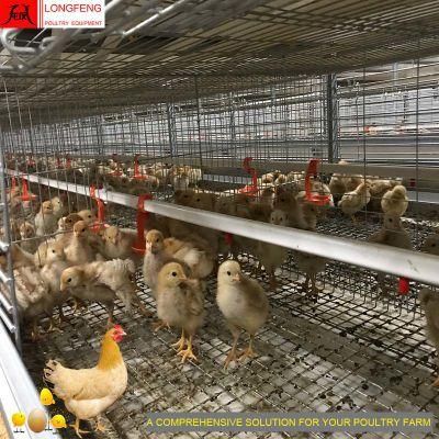 Low Price High Density 288birds 240 192 144 3-6tierspoultry Farm Equipment