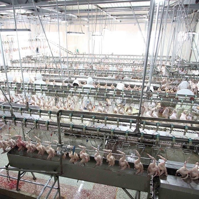 New Technology with ISO9001 Poultry Chicken Processing Production Line