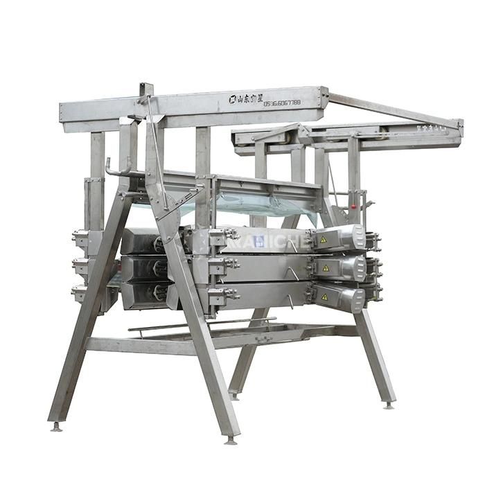 1000-2000bph Chicken Plucker Poultry Slaughtering Machine