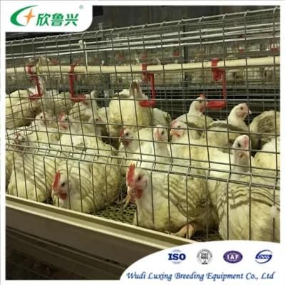 Commercial Chicken Battery Cage for Layer Poultry Farms with Automatic Drinking Line