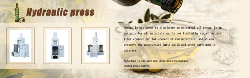High Quality Commercial Cold Press Olive Oil Expeller Machine Peanut Oil Press Hydraulic Oil Extractor for Avocado Olive Shea Butter Edible Oil Machine