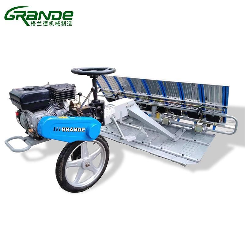 Ride-on Diesel 8 Rows Paddy Rice Transplanter