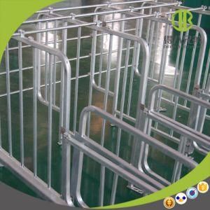 Hot-DIP Galvanized Pig Limit Gestation Stalls for Pigs